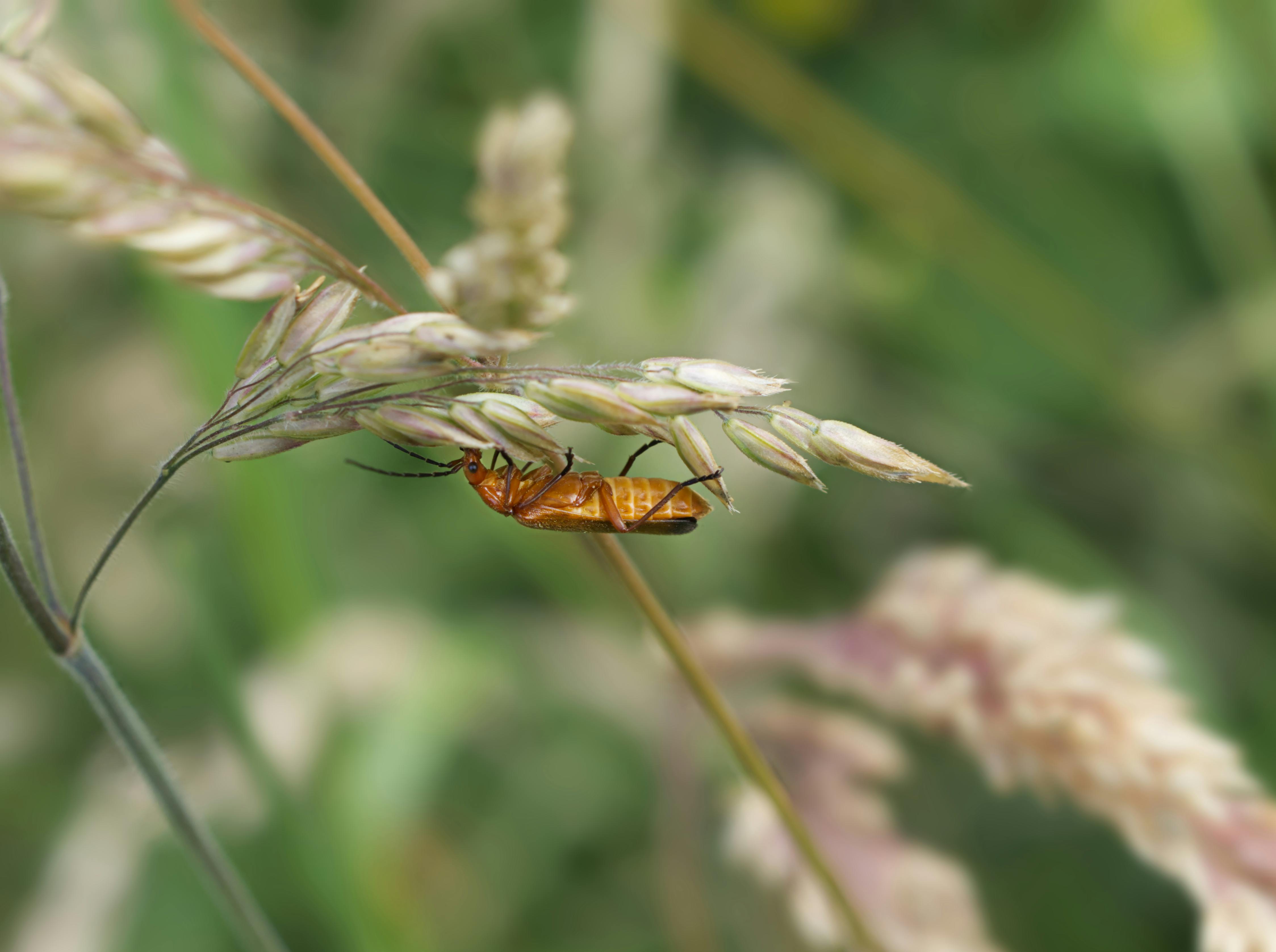 What are the most common mistakes bloggers make?