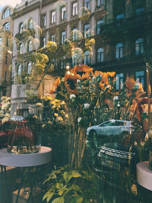 Flowers behind a Store Window