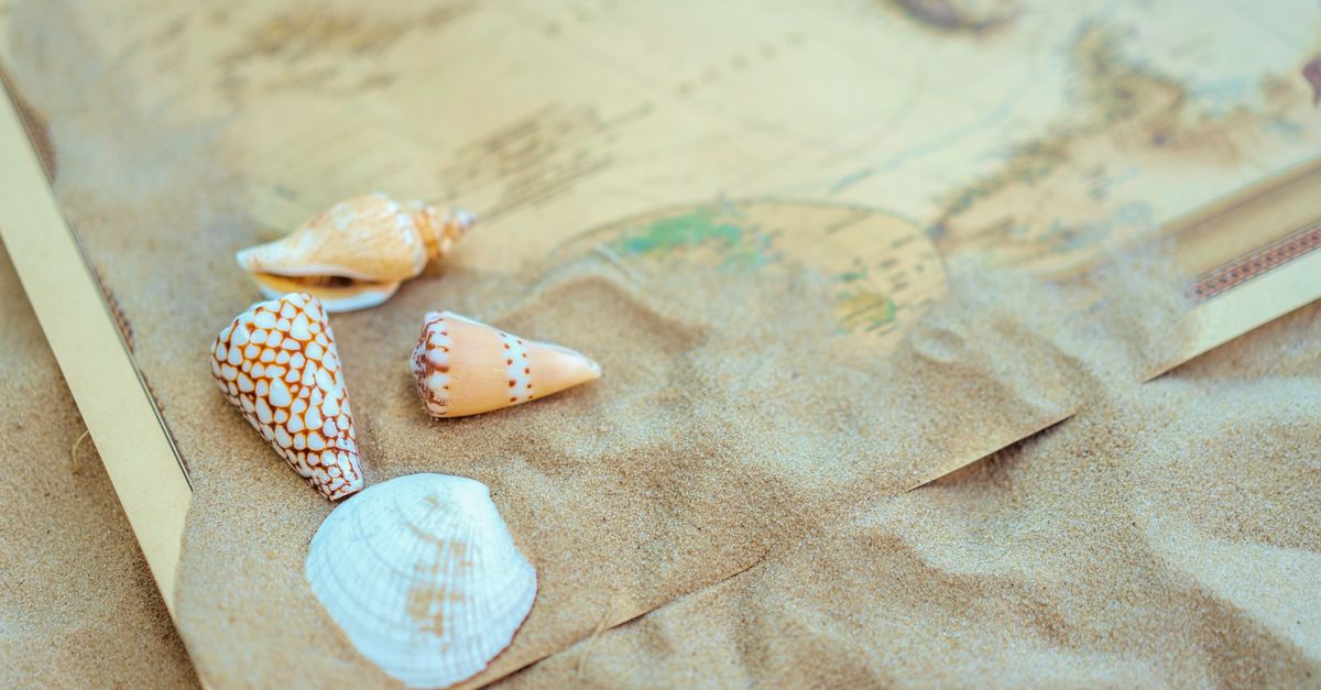 A close-up of various seashells resting on sand-covered map, evoking travel and adventure.