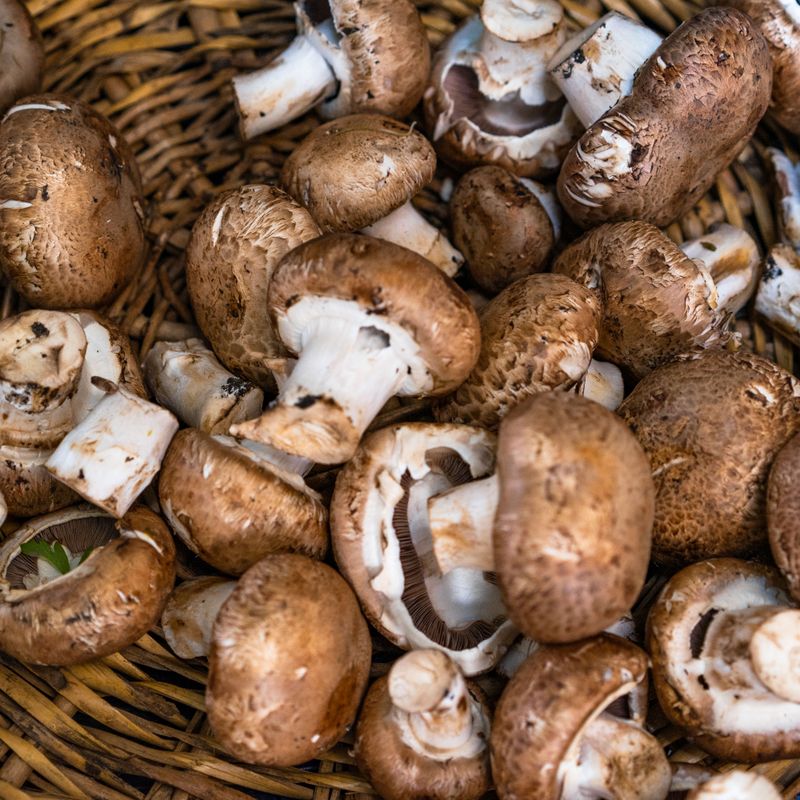 Vegan Mushroom and Wild Rice Chowder