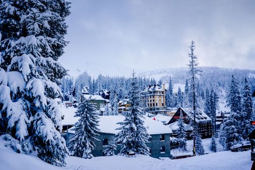 Free Snow-covered village in Dragobrat, Ukraine during winter, surrounded by serene pine trees. Stock Photo