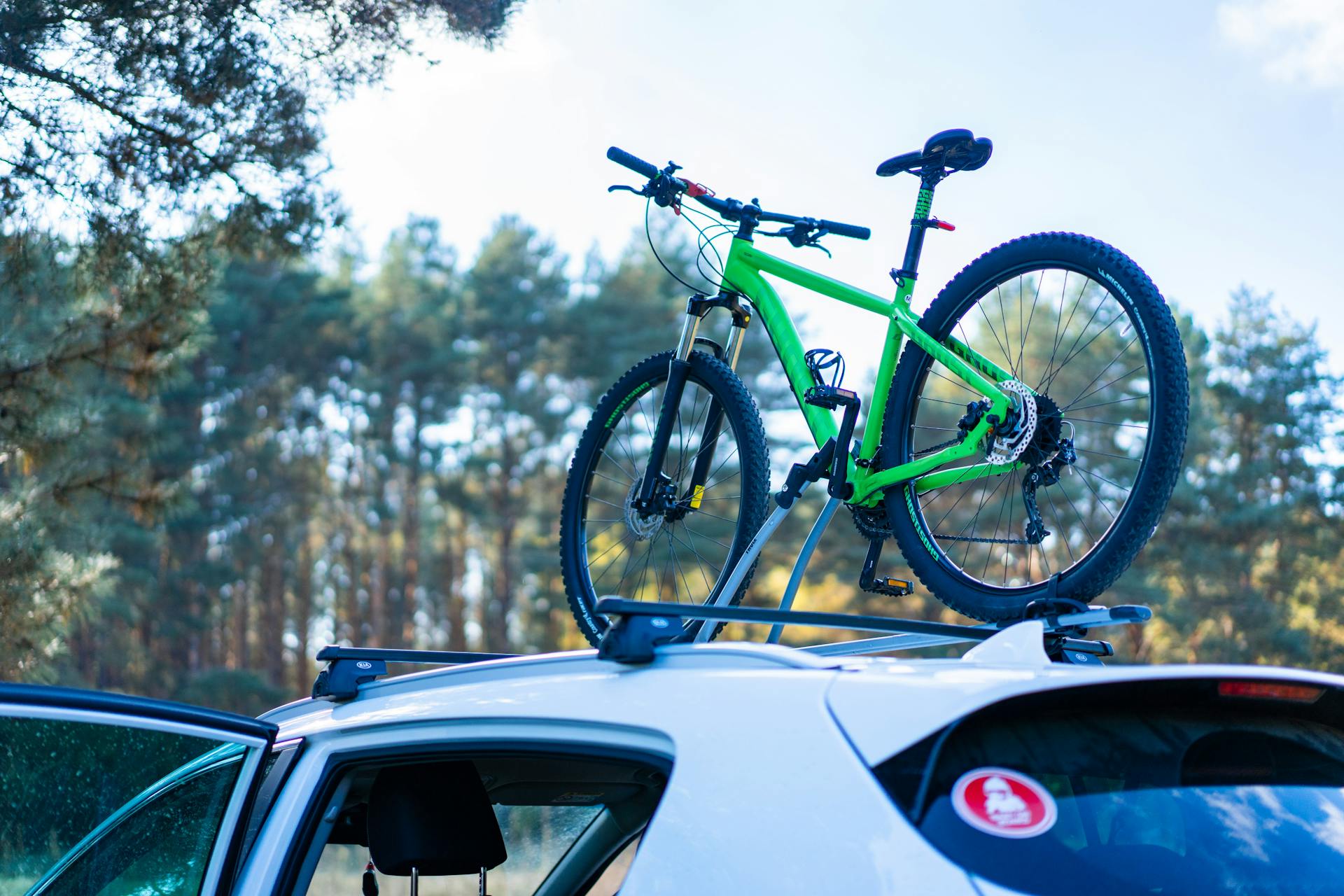A green mountain bike mounted on a car roof, set against a forest backdrop.