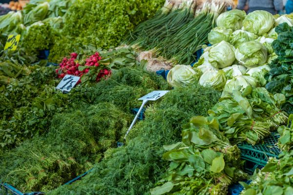 Fresh leafy greens and herbs at the market