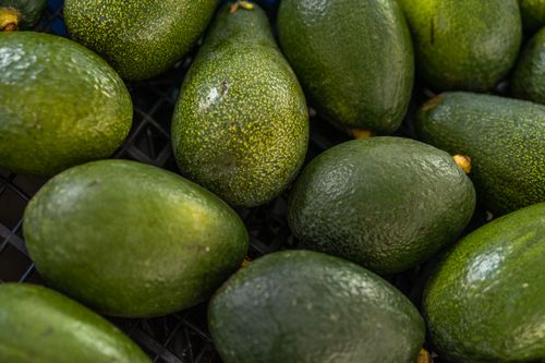 Free A vibrant close-up of fresh avocados on display at a market, showcasing their rich green texture. Stock Photo