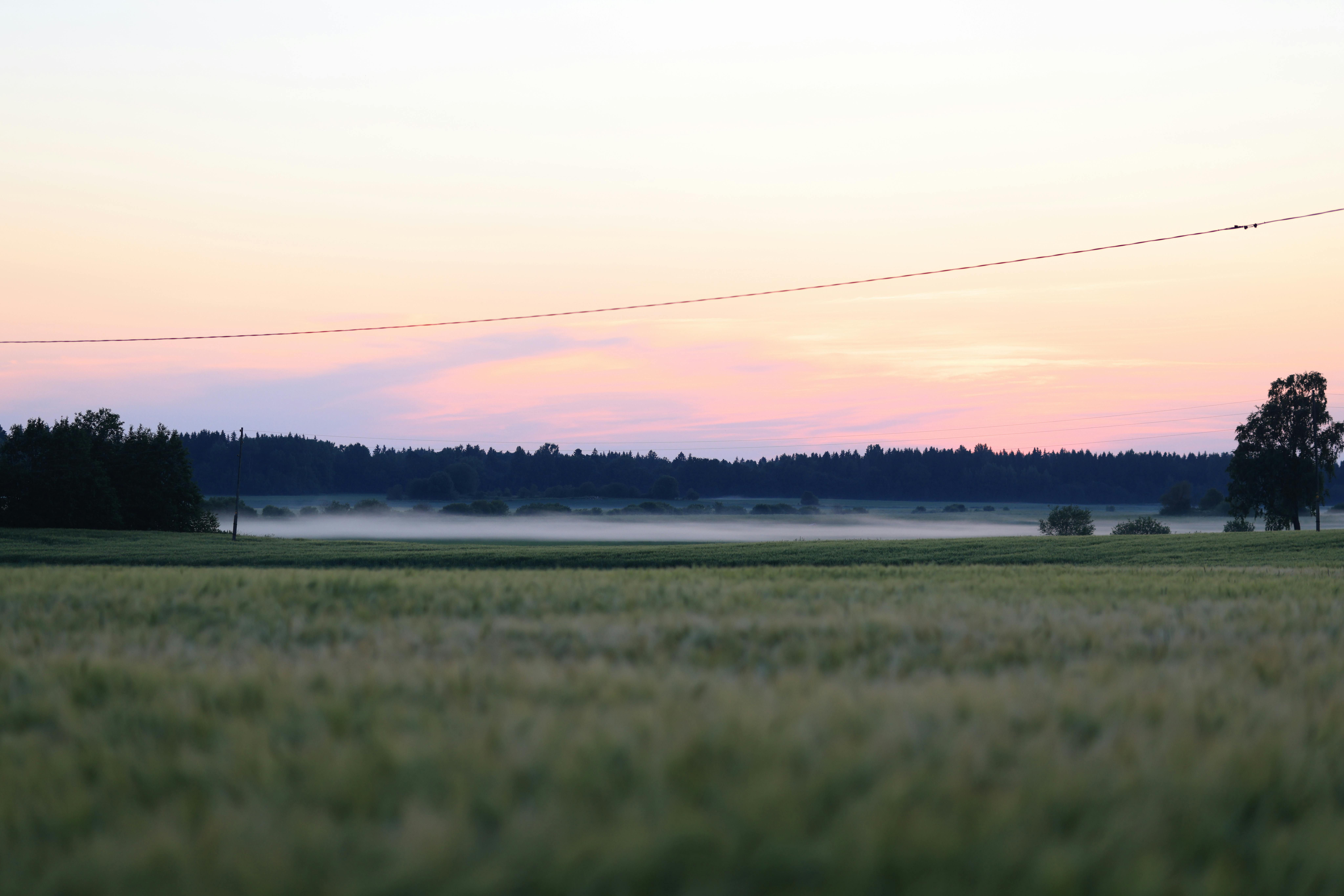 Which country likes gambling the most?