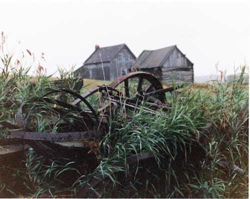 Immagine gratuita di abbandonato, azienda agricola, capannoni