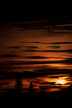 A breathtaking sunset view with a fiery sky and trees in silhouette, perfect for nature lovers.