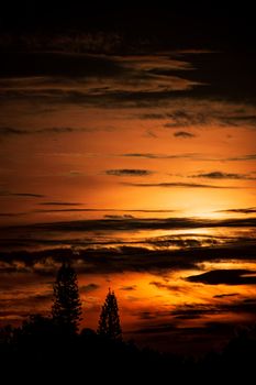 Stunning tree silhouettes against a fiery sunset sky, capturing nature's dramatic beauty.