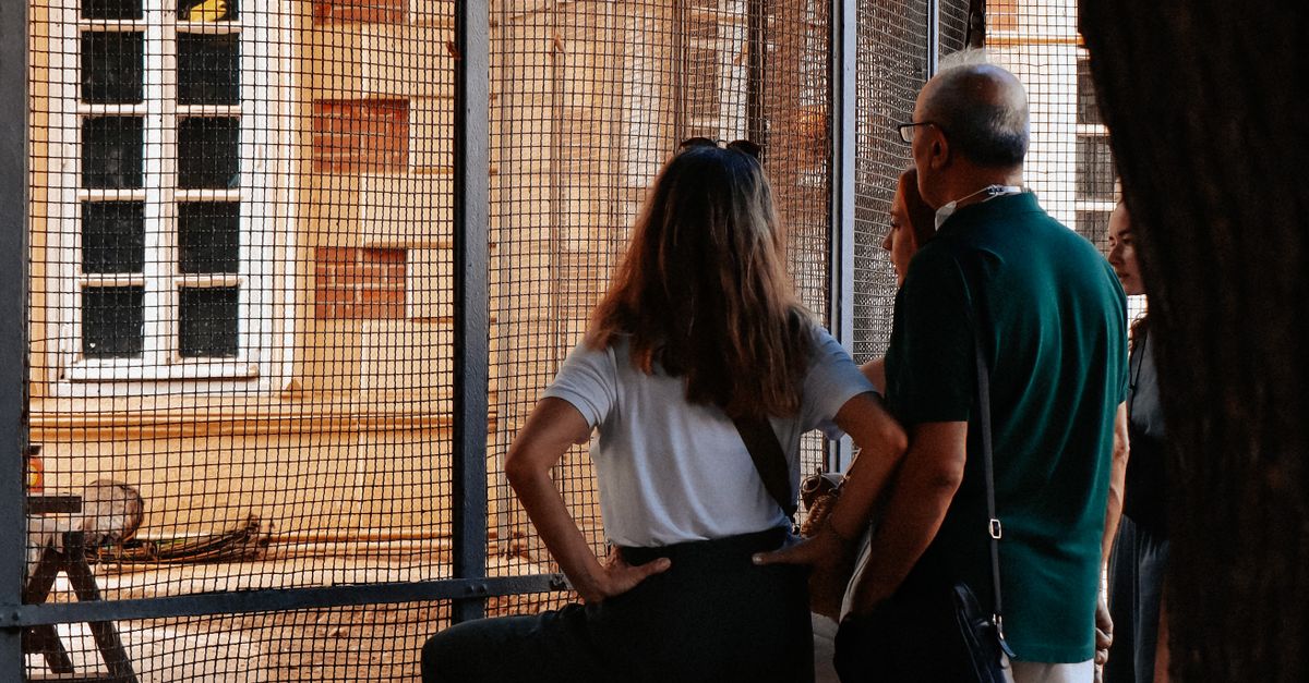 People Standing and Watching Birds Inside a Cage · Free Stock Photo