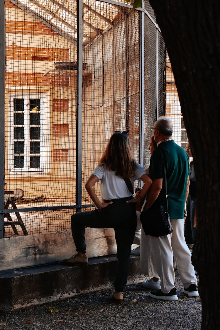 People Standing And Watching Birds Inside A Cage