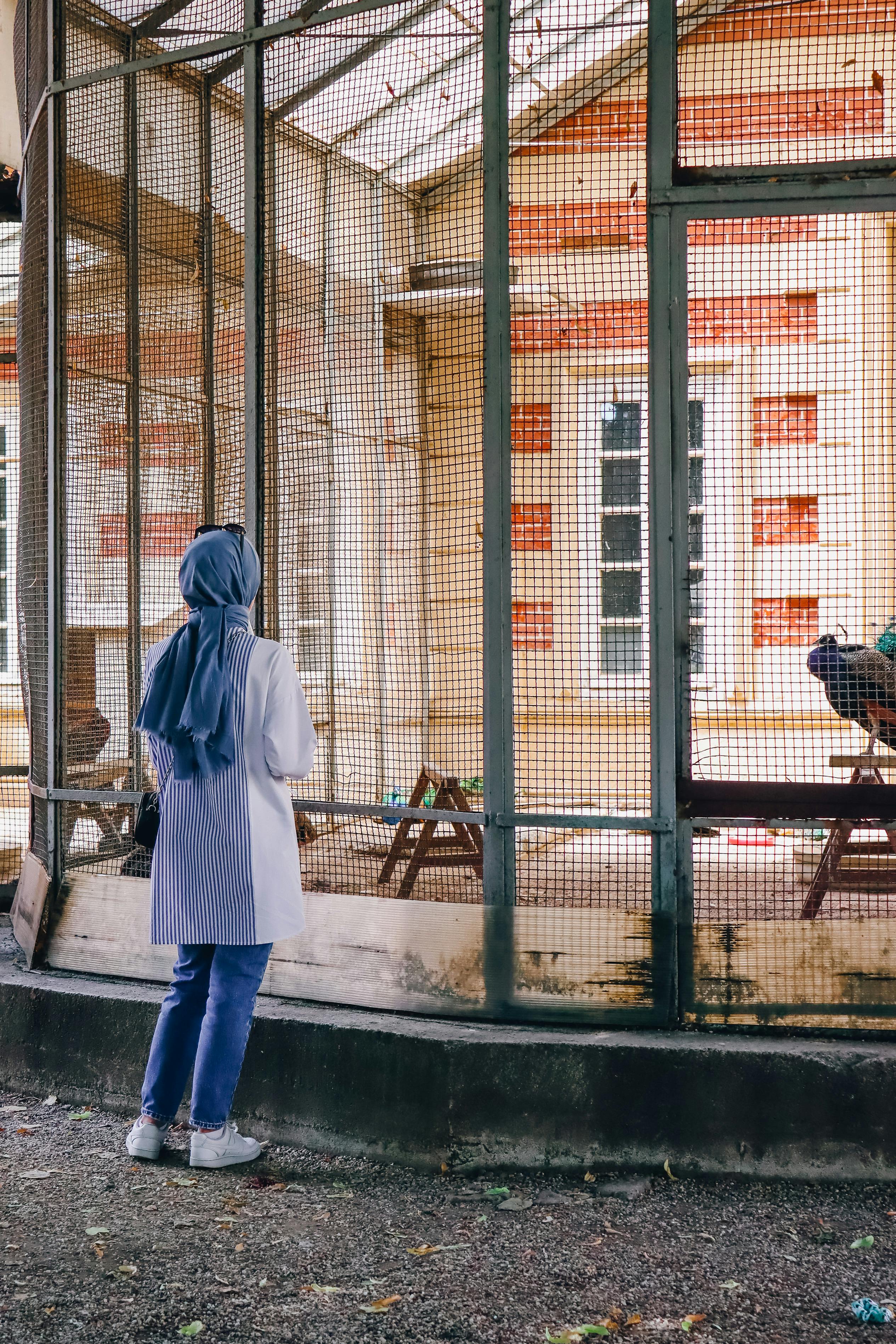 Young Woman Standing in Front of a Bird Cage in a Zoo · Free Stock Photo