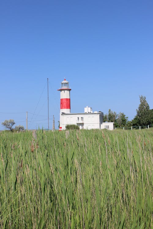 垂直ショット, 灯台, 田舎の無料の写真素材