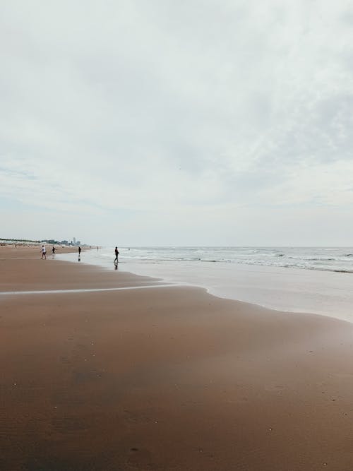 People Walking on Beach