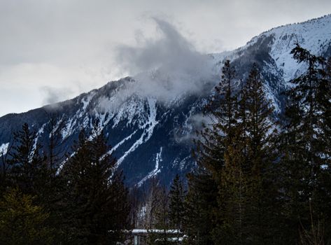 Stunning winter view of snow-covered mountains and evergreen trees in Whistler, British Columbia.