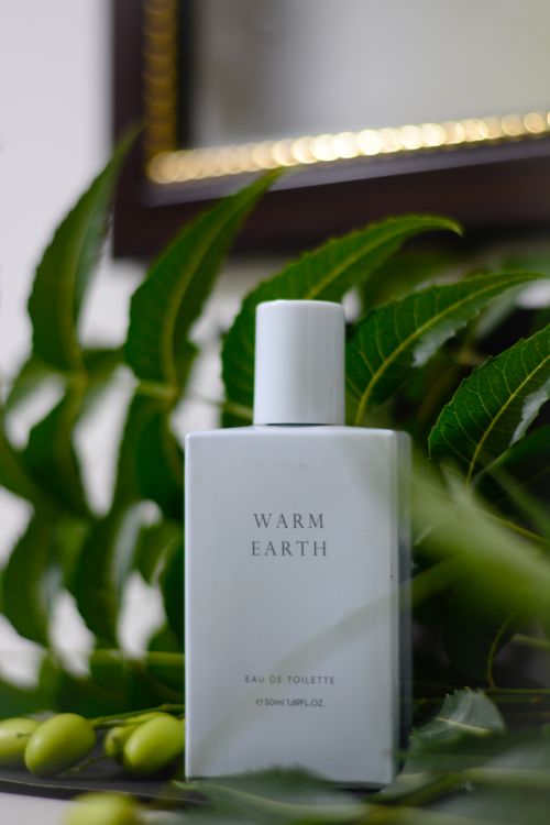 Free Stylish perfume bottle amidst lush green leaves, creating a fresh and earthy ambiance. Stock Photo