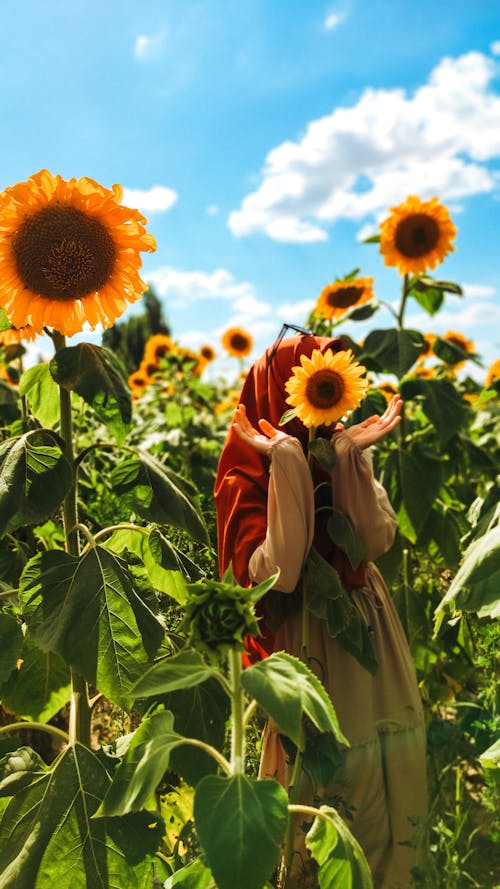 A Person in Red Headscarf Standing Behind Sunflower 