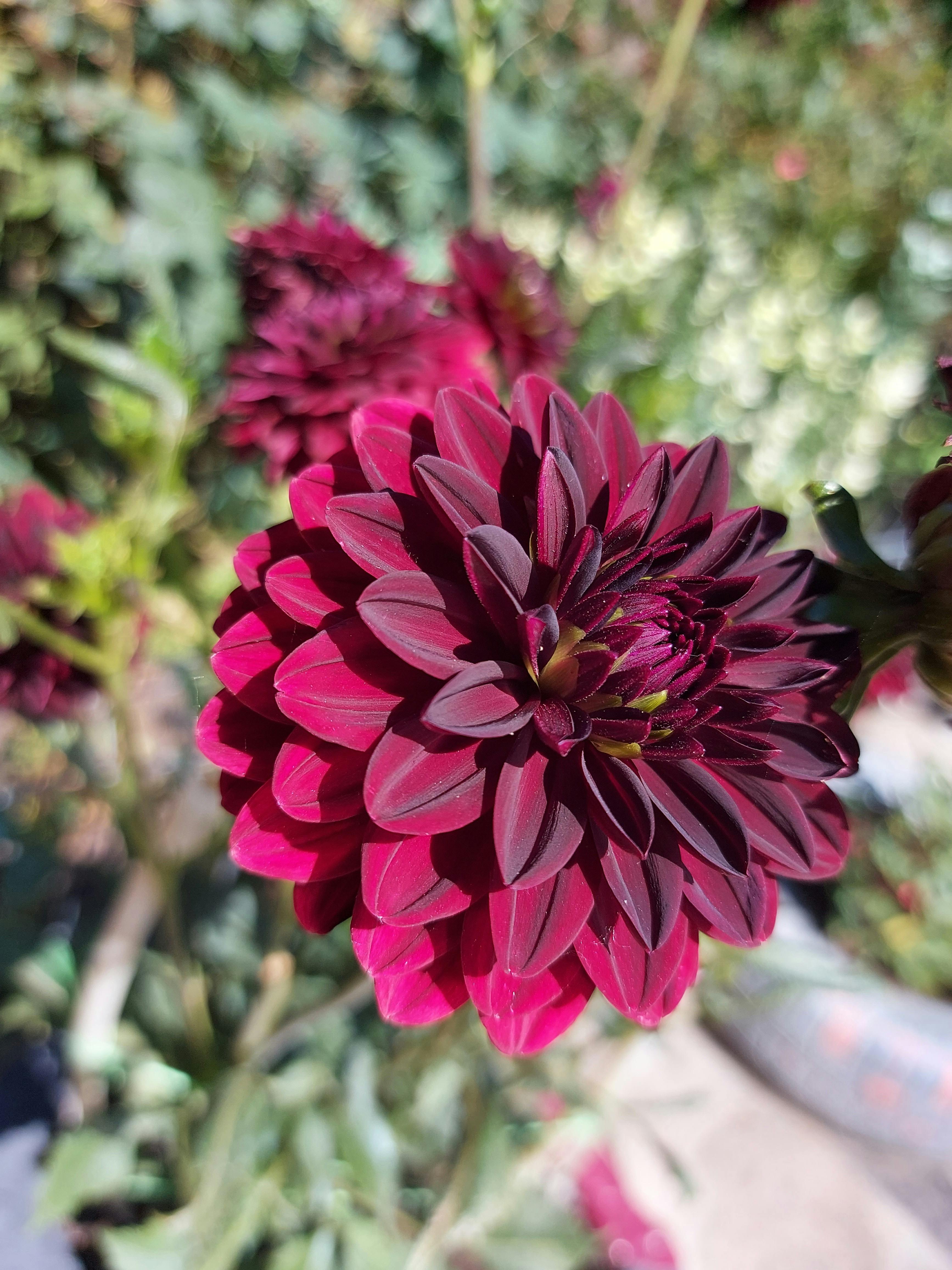 Резьба по дереву