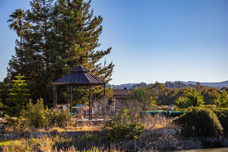 Sunjoy Outdoor Patio Gazebo displayed in a backyard, sold by Walmart