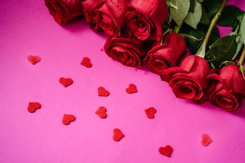 Free A bouquet of red roses with small heart shapes on a vibrant pink background, perfect for Valentine's Day. Stock Photo