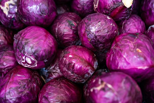 Fresh purple red cabbages showing texture and vibrant color, ideal for healthy eating imagery.