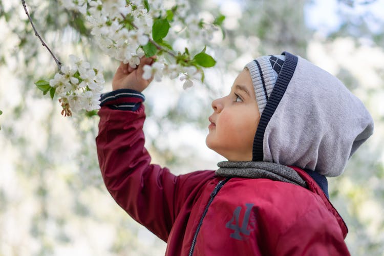 A Boy In Red Jacket Holding White Flowers