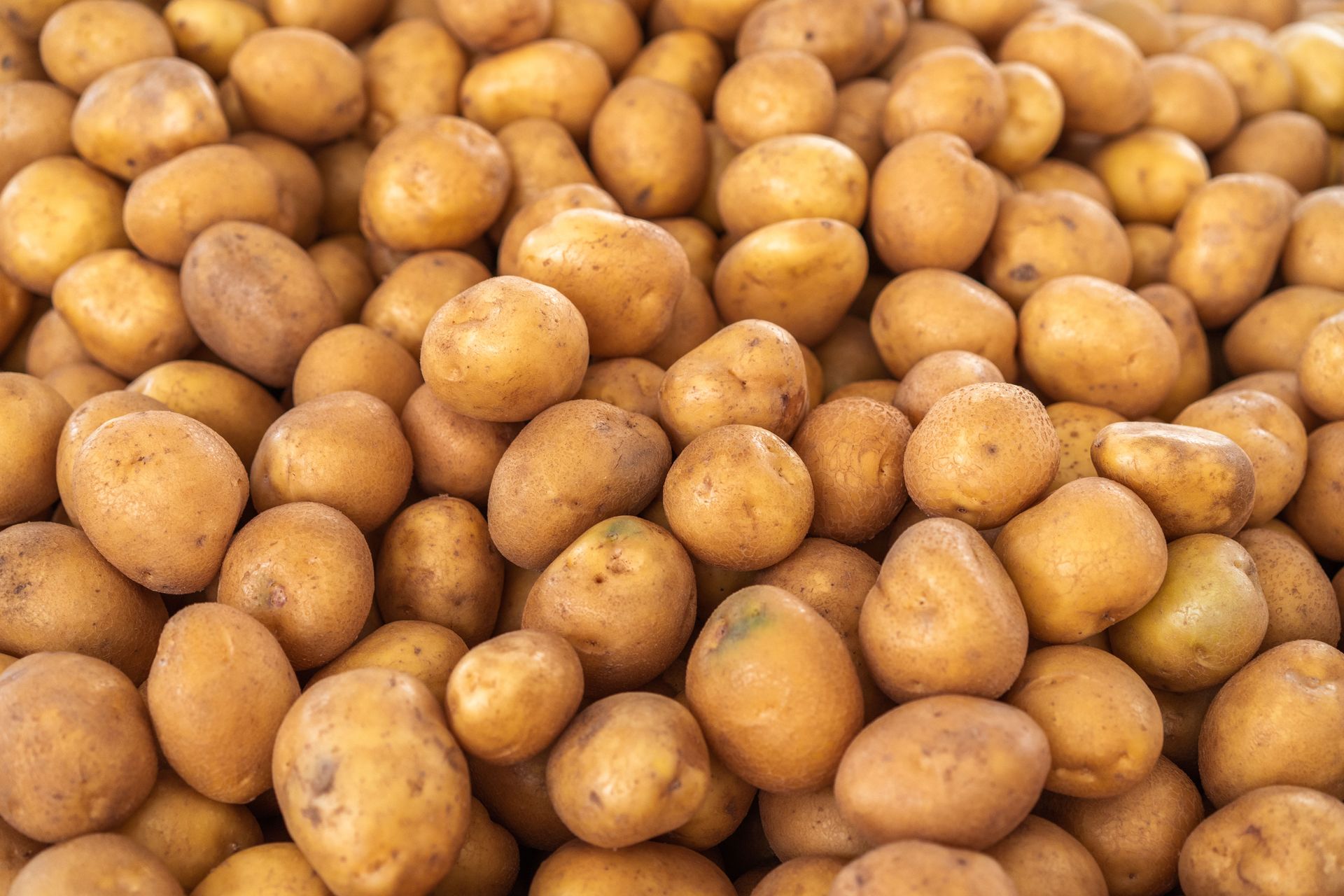 Pile of freshly harvested brown potatoes ready for market sale.