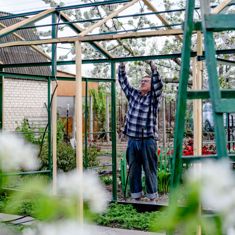 Painters and Decorators in Kew — a decorator at work mid-project