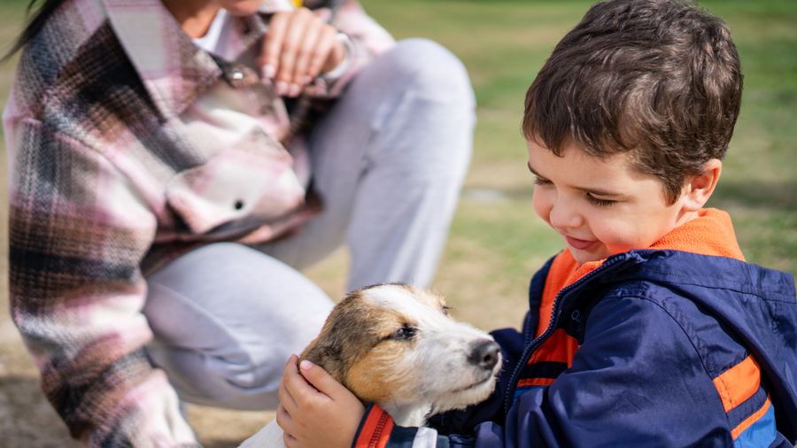 Omega-3s for Dogs: What the Dull Coat Is Telling You