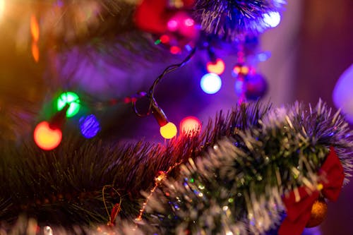 Kostnadsfri bild av dekoration, firande, jul
