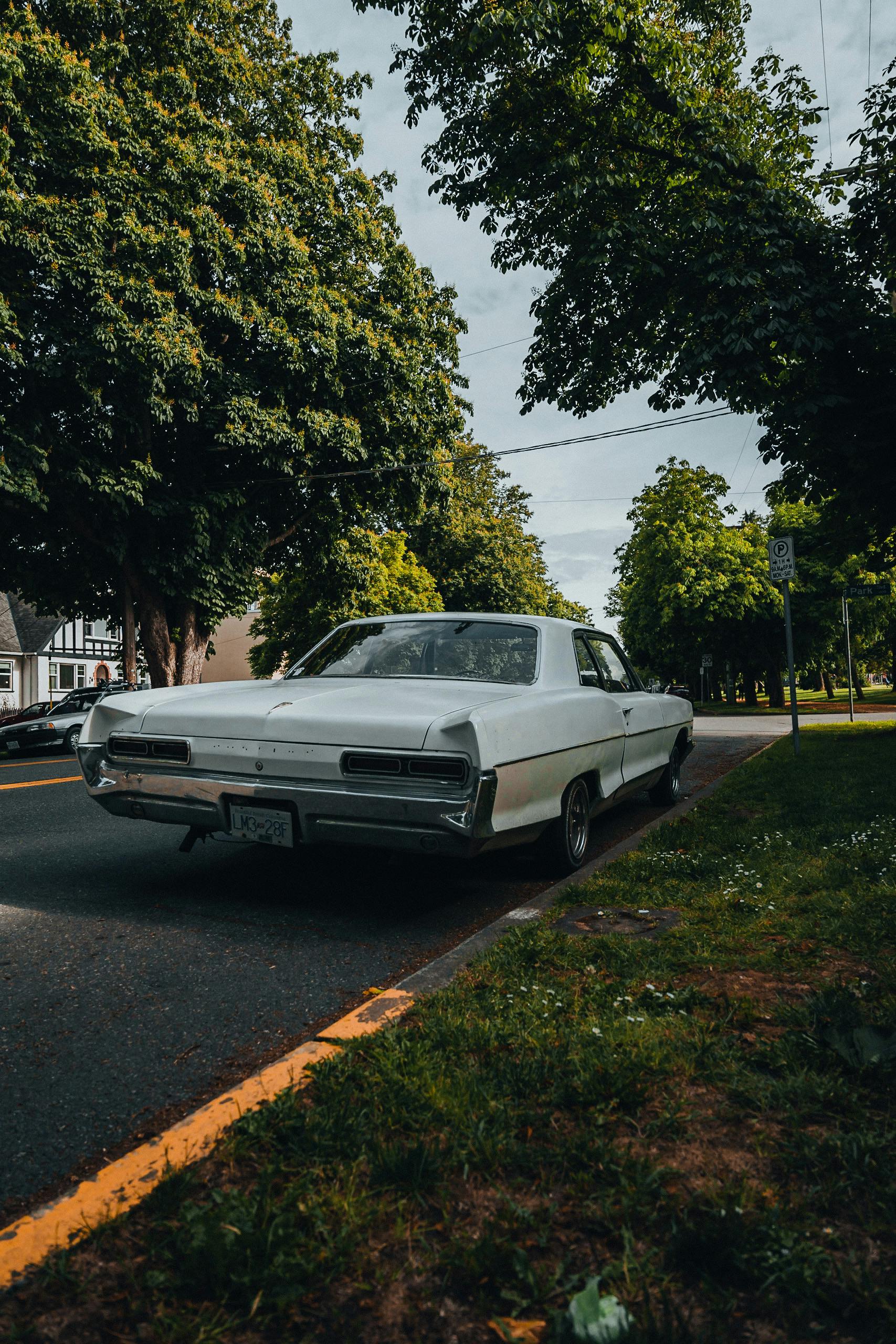 Catalina Photos, Download The BEST Free Catalina Stock Photos & HD Images