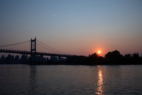 무료 강, 다리, 새벽의 무료 스톡 사진