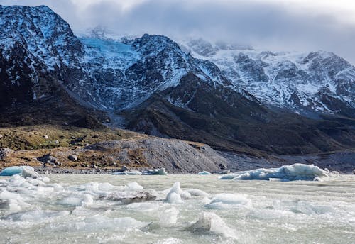 Foto d'estoc gratuïta de camp d'herba, cos d'aigua, fotografia de natura