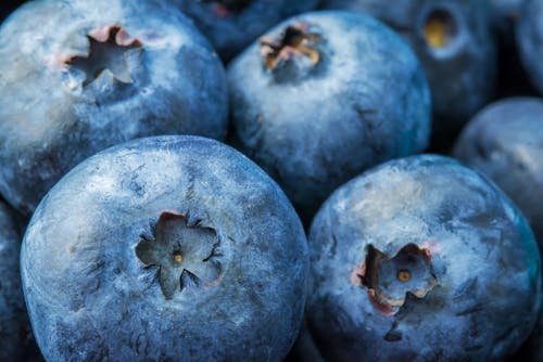 A Pile of Blueberries