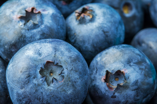 blueberry