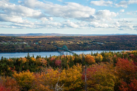 Captivating autumn landscape featuring Seal Island Bridge in Canada.