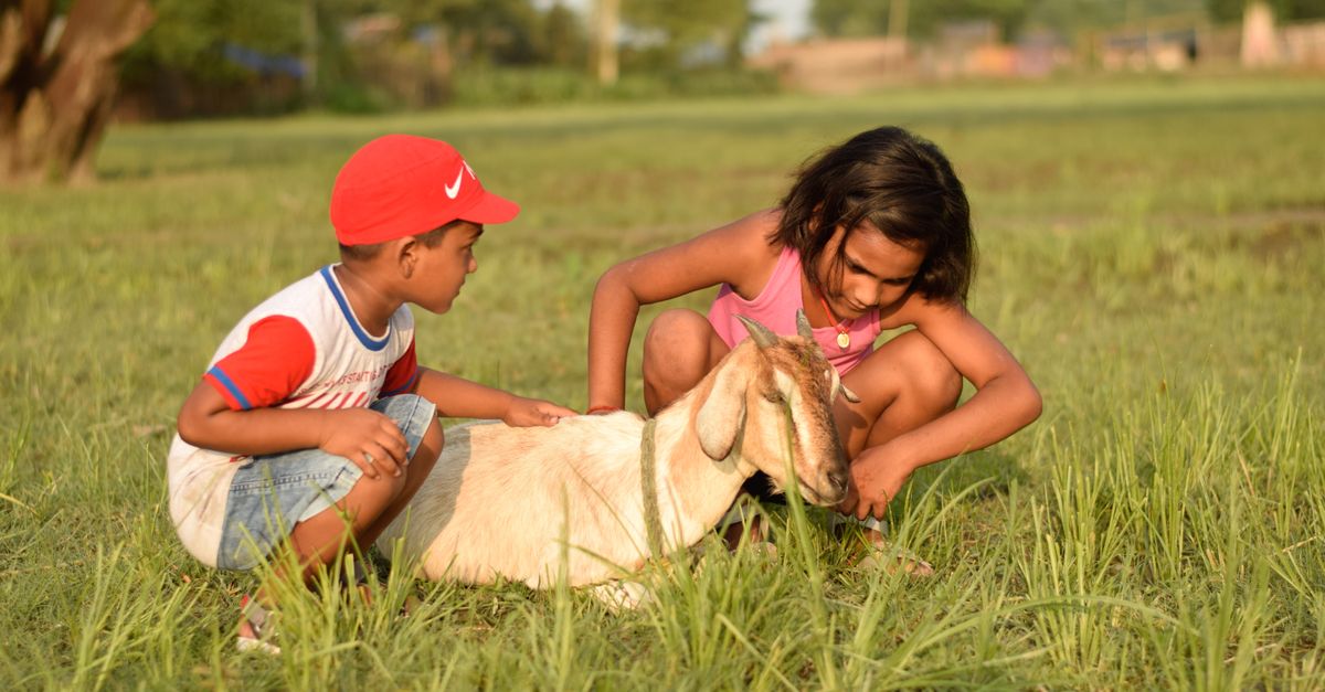 Cowboys, Weavers, and Story Time: Heritage Farmstead Museum Packs September With Family Programs
