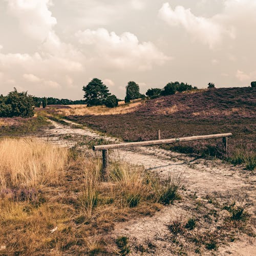 Wooden Barrier on a Dirt Road Among Fields