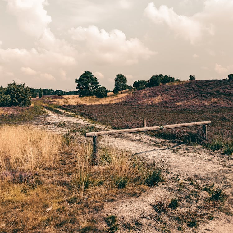 Wooden Barrier On A Dirt Road Among Fields