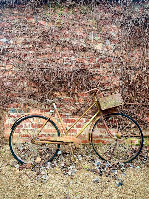 Bicycle Parked Near Brick Wall