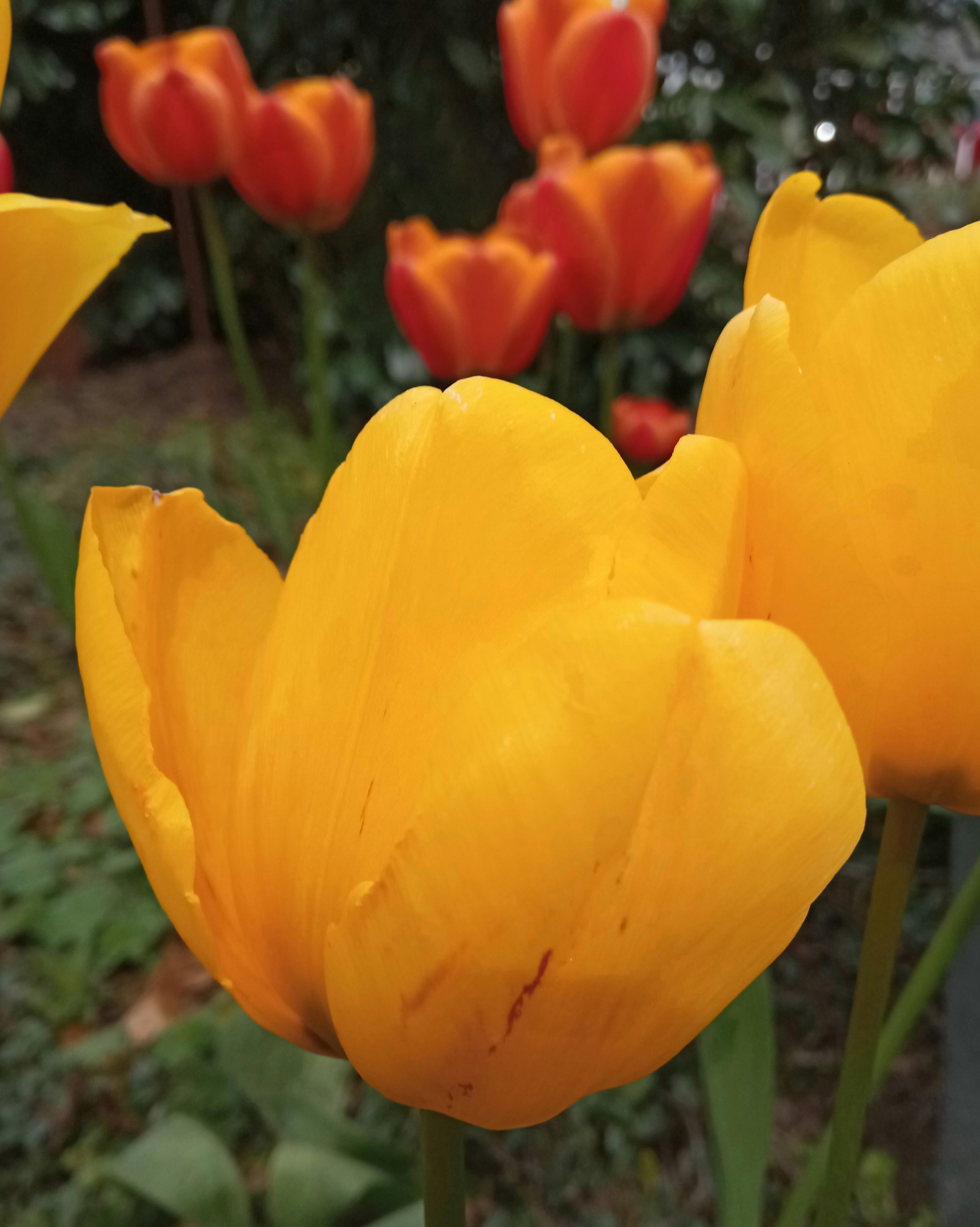 Chris Blevins Photography