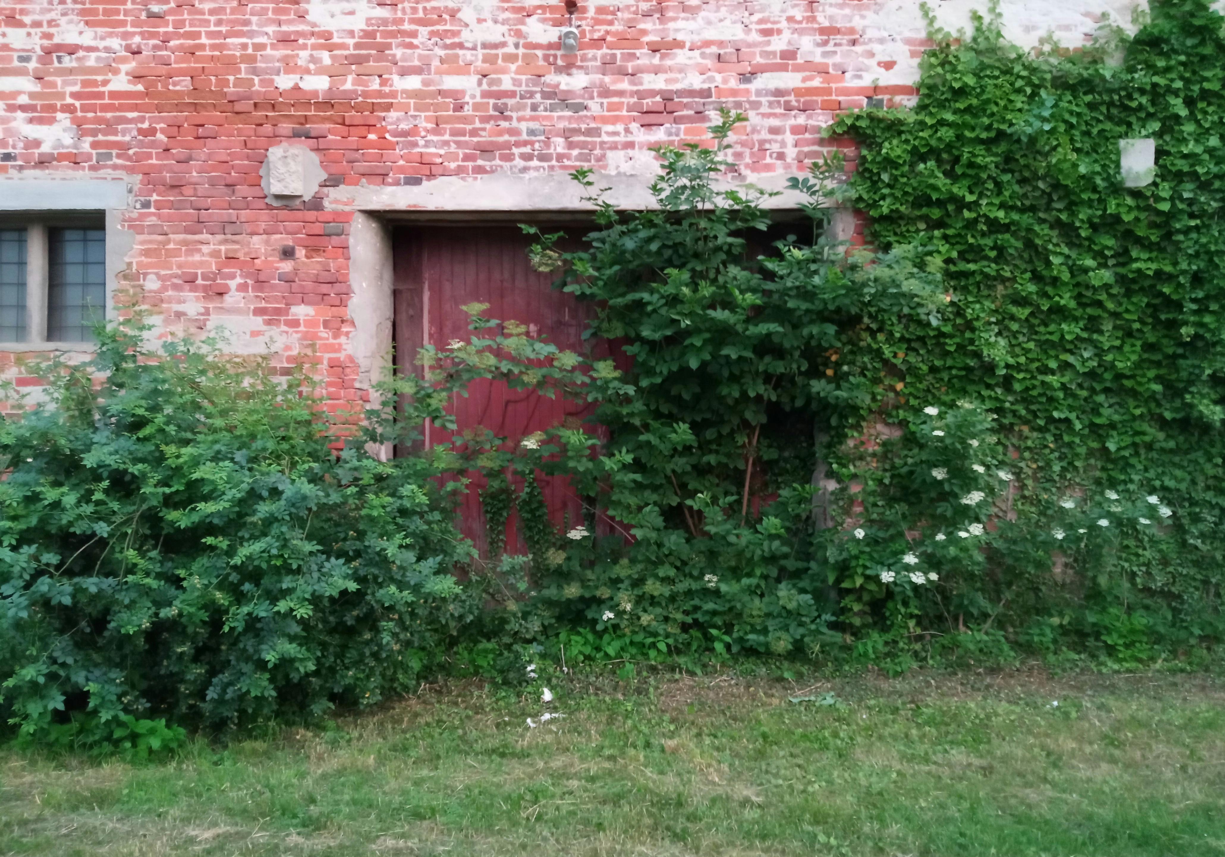 Chris Blevins Photography