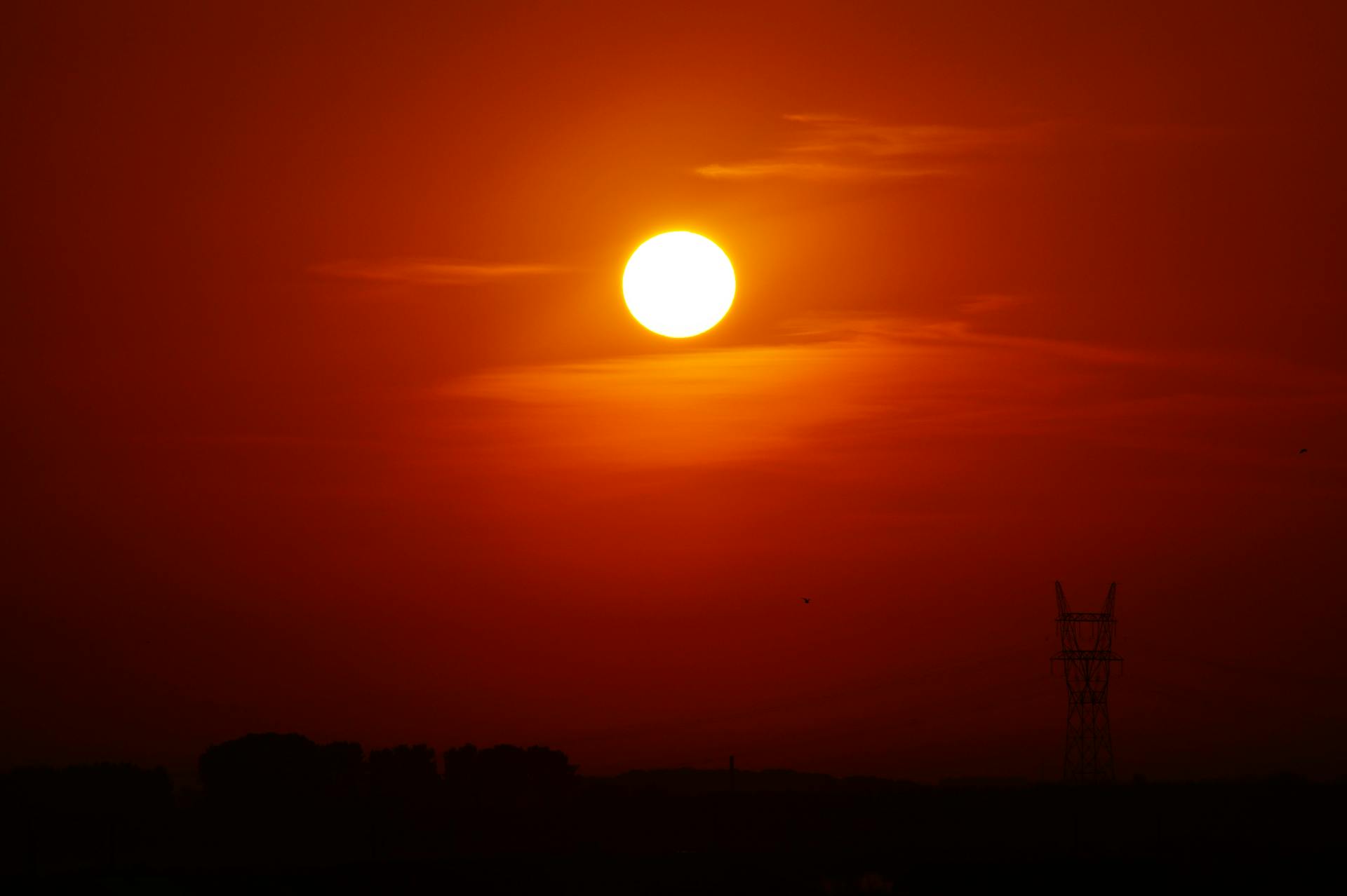 Silhouette of Utility Post during Golden Hour
