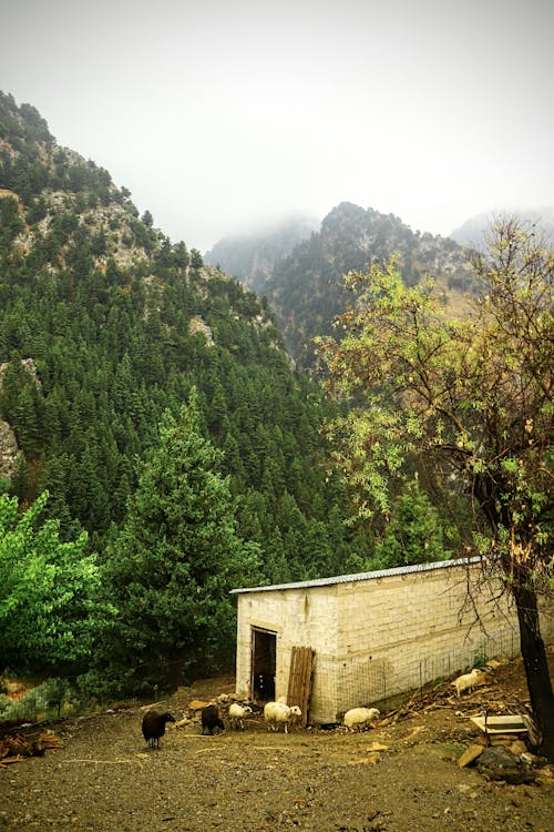 Small Brick Barn for Sheep in the Mountains