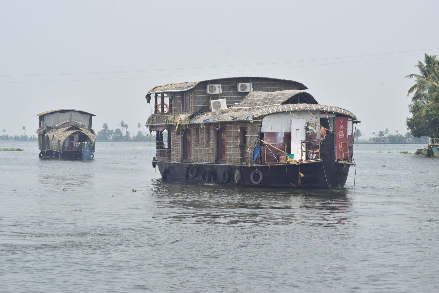 Traditional Kerala houseboats moored along a palm-lined backwater canal at Alappuzha.
