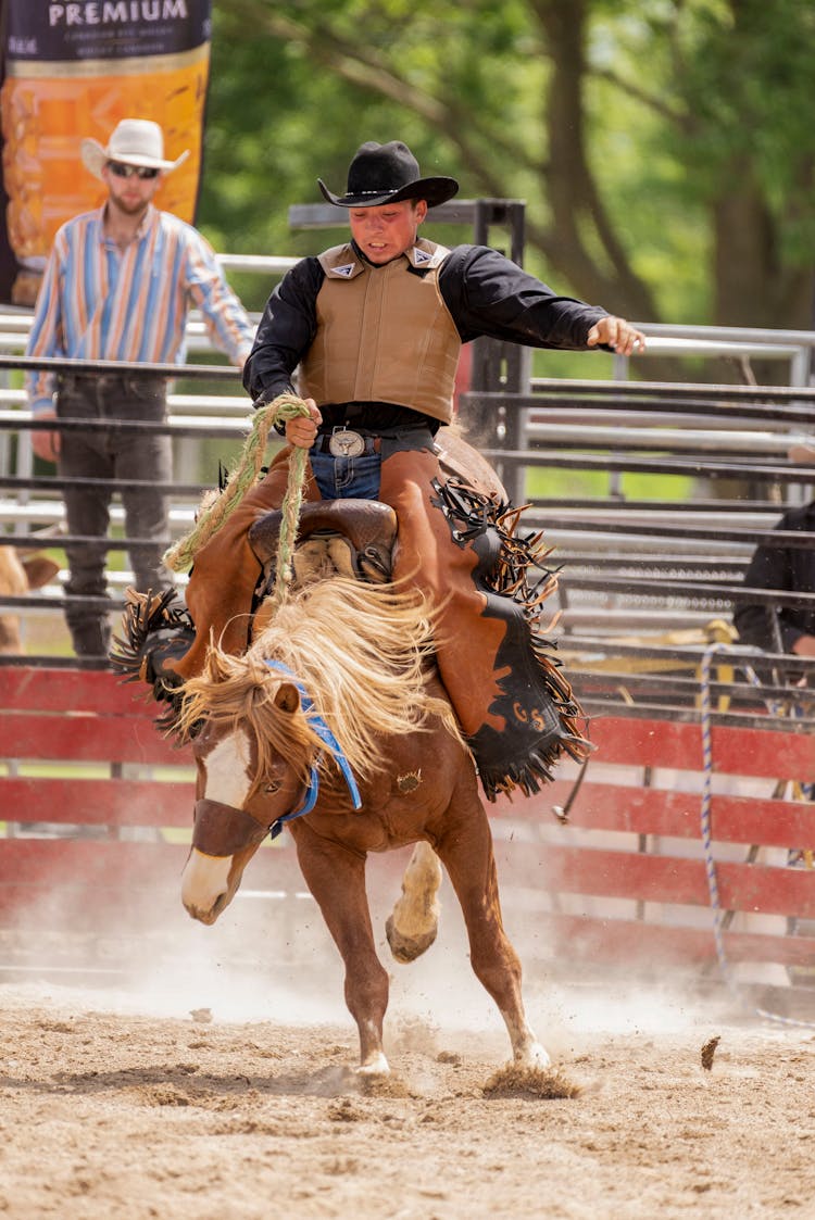 Cowboy During A Rodeo Event