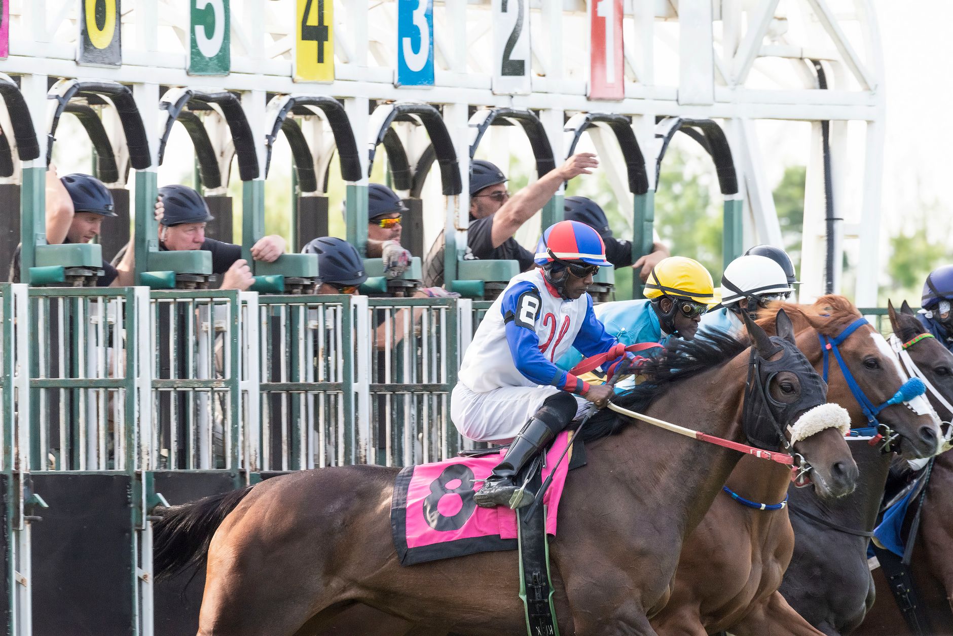 Thrilling horse race kickoff with jockeys and thoroughbreds at starting gates.