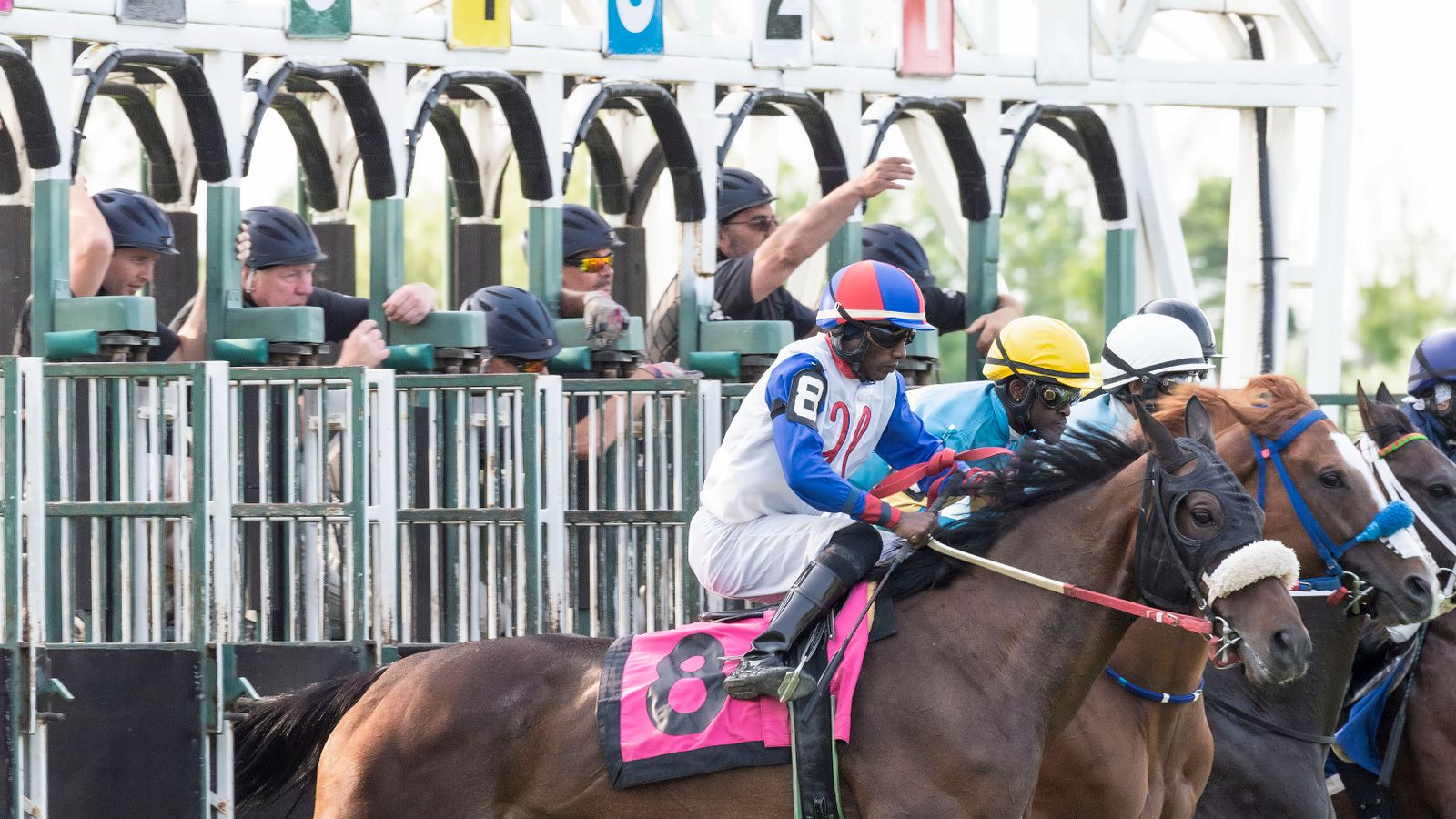 The field breaking from the starting stalls