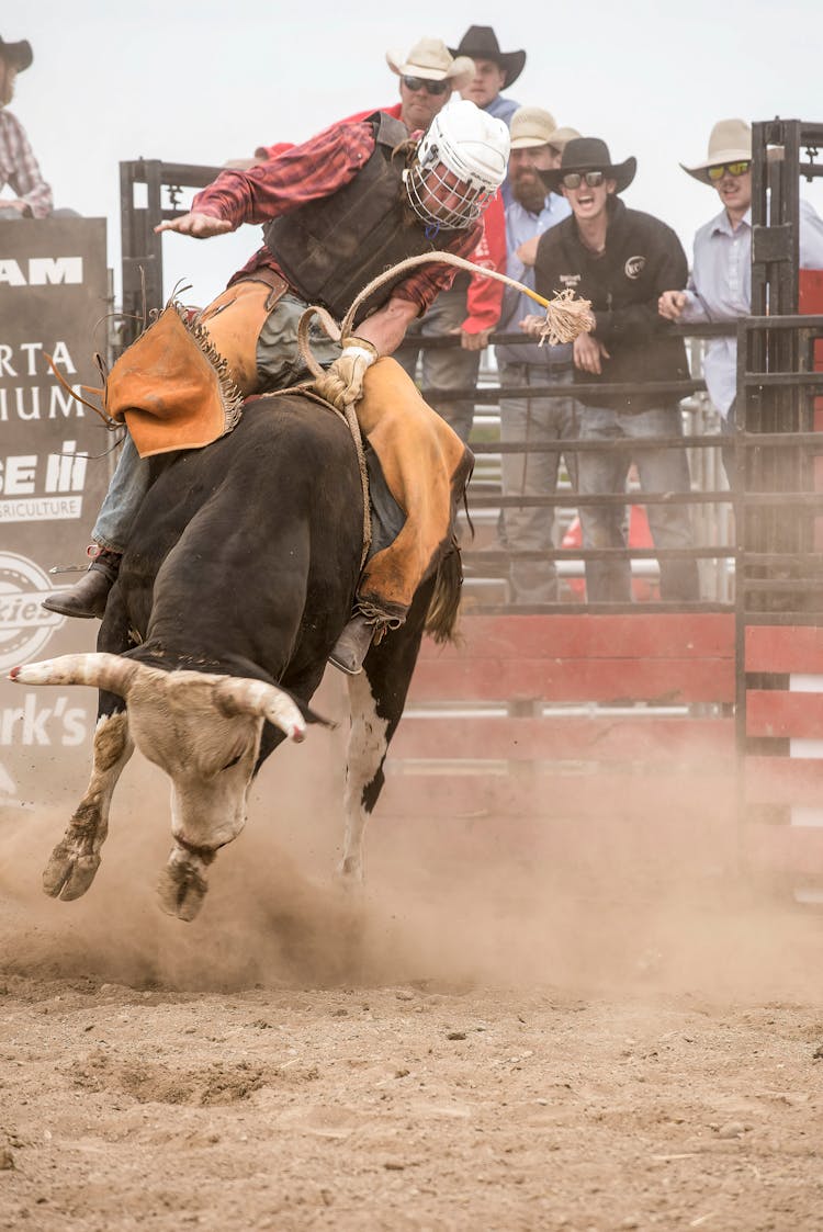 Cowboy Riding A Bull During A Rodeo Event