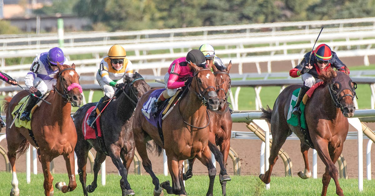 威力彩祕訣大揭密!4生肖助你中大獎 🎉