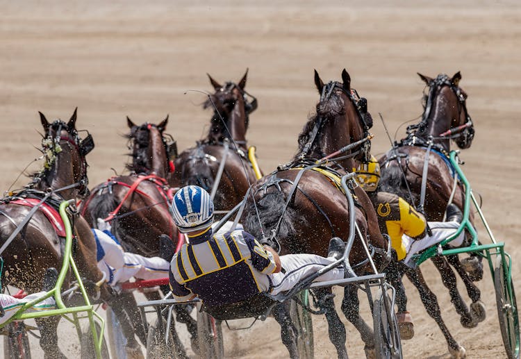 Men In Carts Riding Horses At Racing